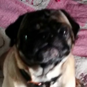 Meet your Posher, Kyleecgalaxy